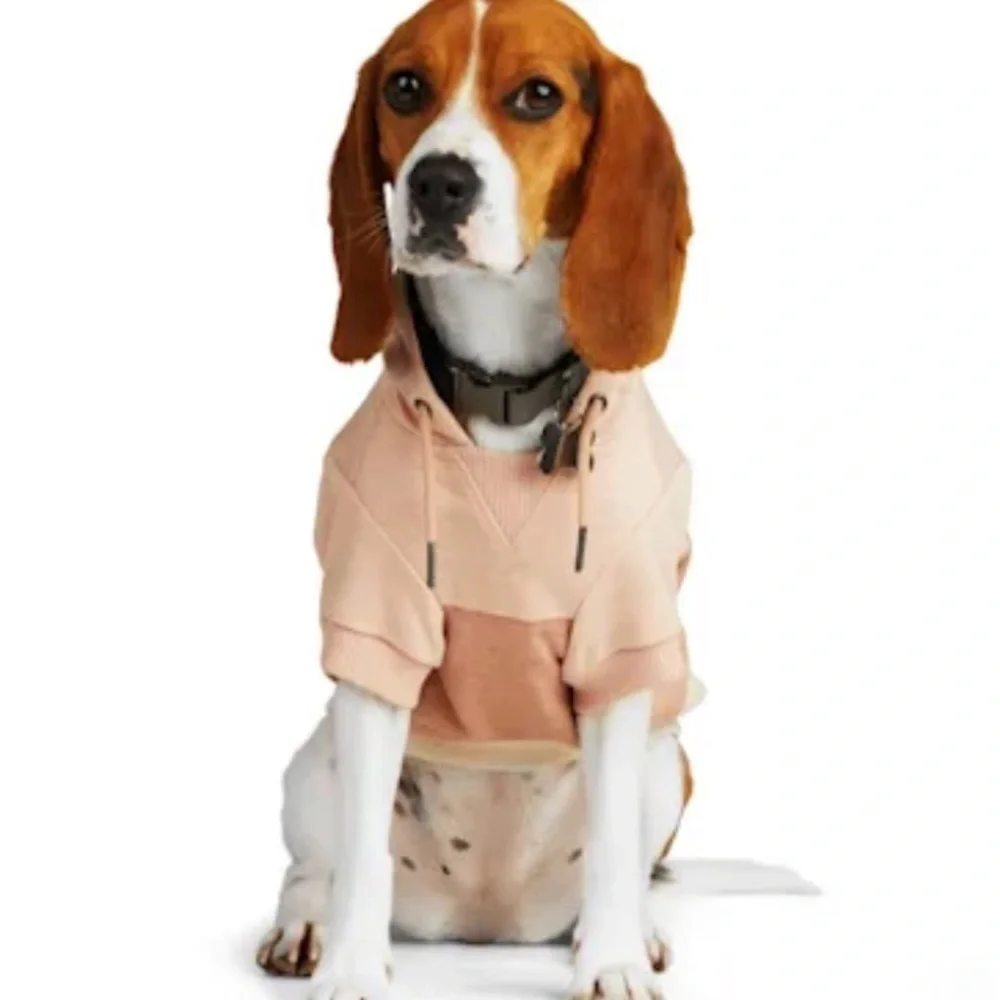 NWT Reddy colorblock dog hoodie M